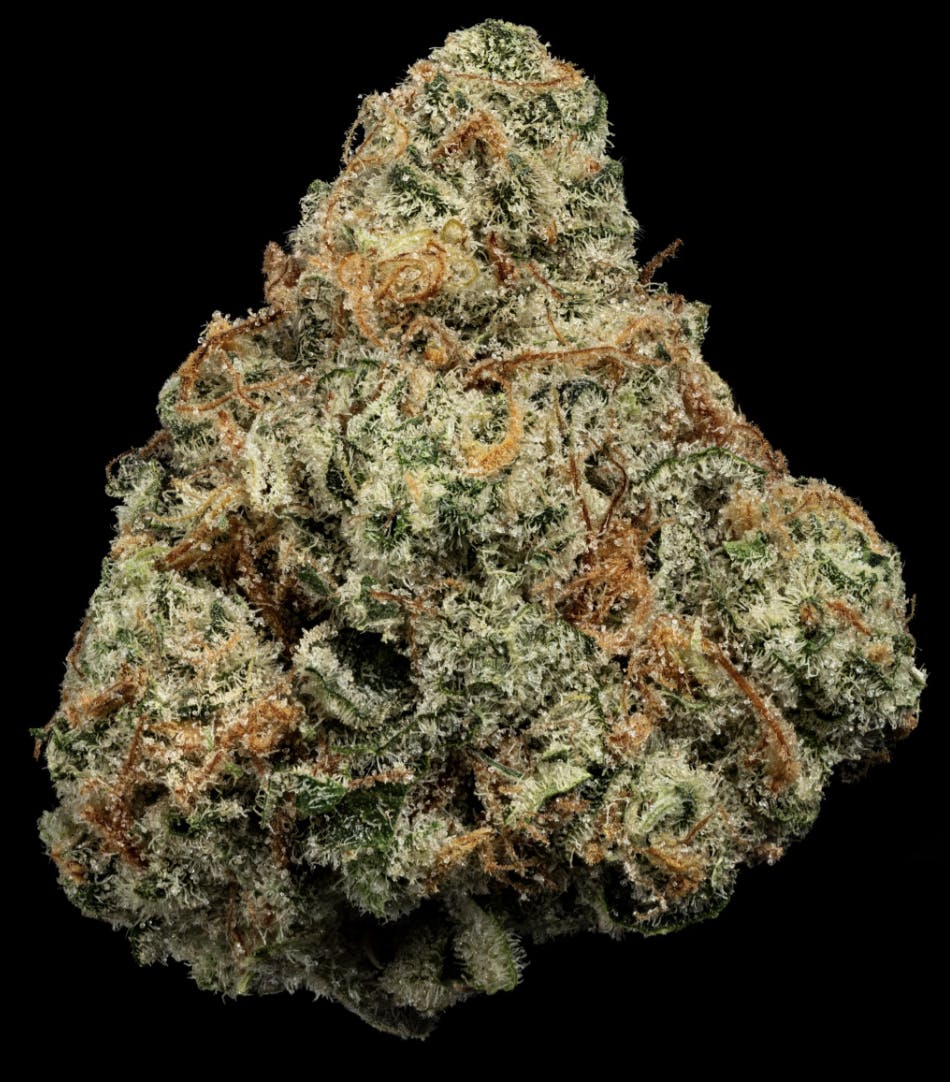 1770160980283 Product Images 67347359 D1f4 472f Ac62 C2b26ffdf82e C074bdbf 0702 4935 B67c D8b5c7cba856 Original