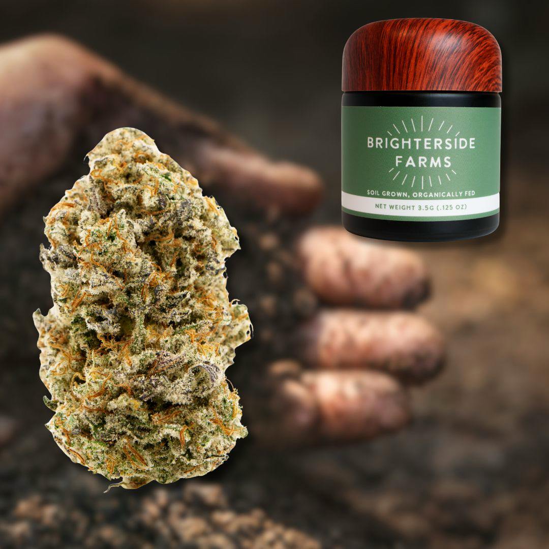 Deep Dark Blueberry | 1G Pre-Roll | 1pk