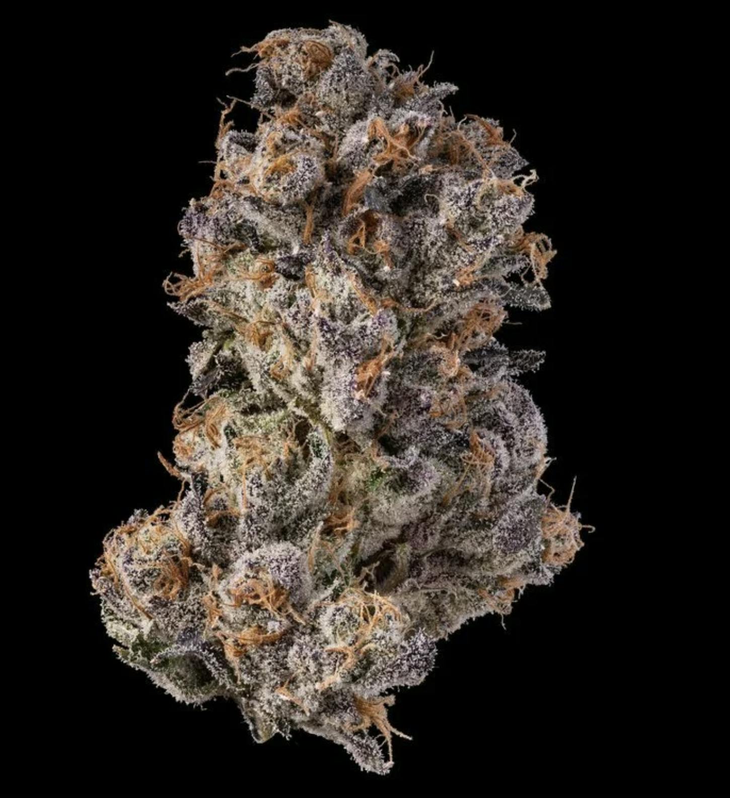 1771362811506 Product Images 666d5099 2fa1 4e57 Ab84 C8fc008a3a62 40aeb5c4 B1c3 4c50 B59b F6429281103a Original