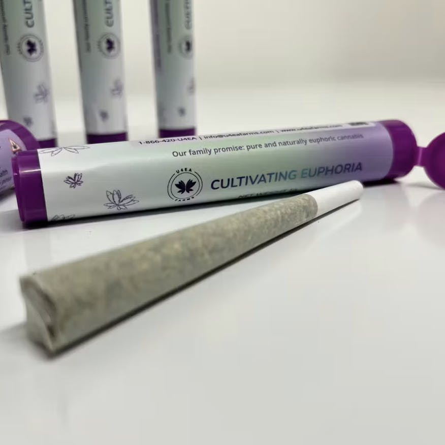 1771521753096 Product Images 51970e3c B4e2 4a81 B05d 56512d3d67af 6c4f2d20 01c9 4e68 Bb08 Cc7a118b1f6b Original