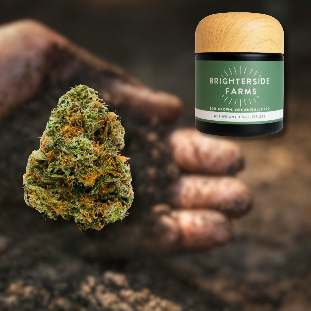 Ecto Cooler | 3.5G Flower