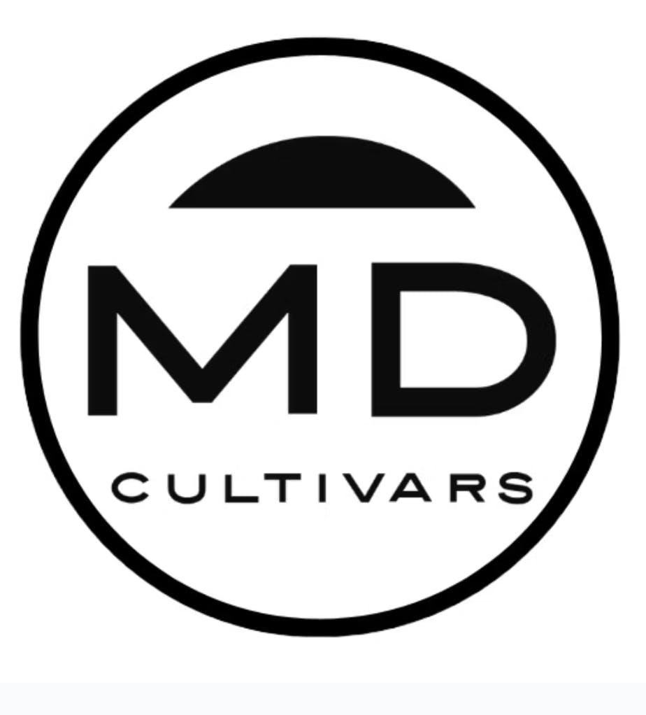 1771621894248 Product Images 61638d51 B6a5 4304 894e C930aab4bde9 48230174 E092 4485 Ba8a 4fed3ef3a4dd Original