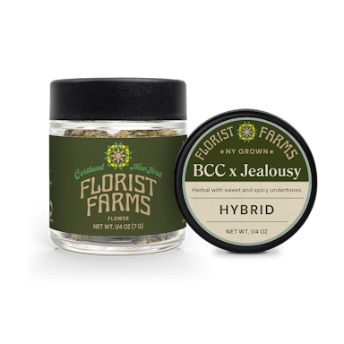 Florist Farms | Flower | 7g | Banana Cream Cake x Jealousy