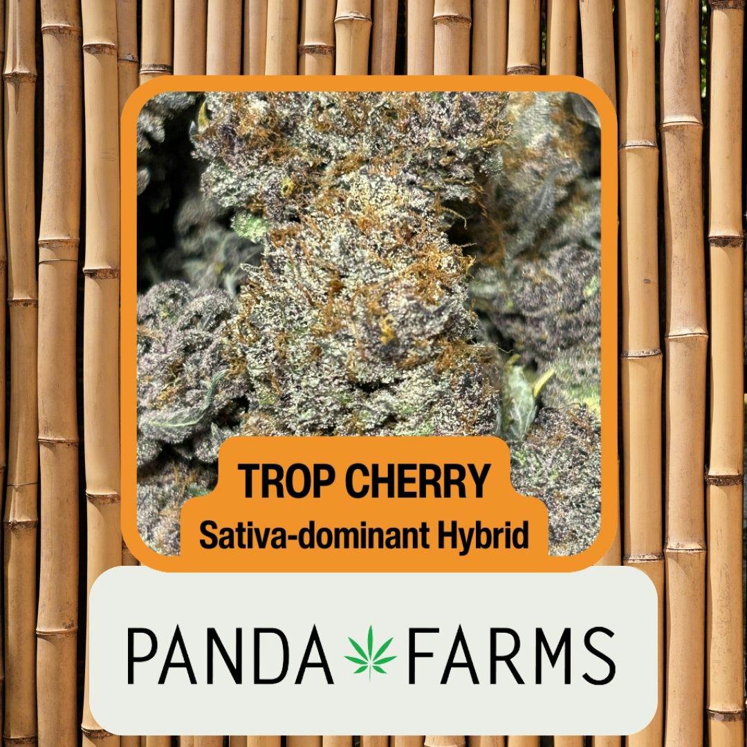 Trop Cherry | 3.5G Flower