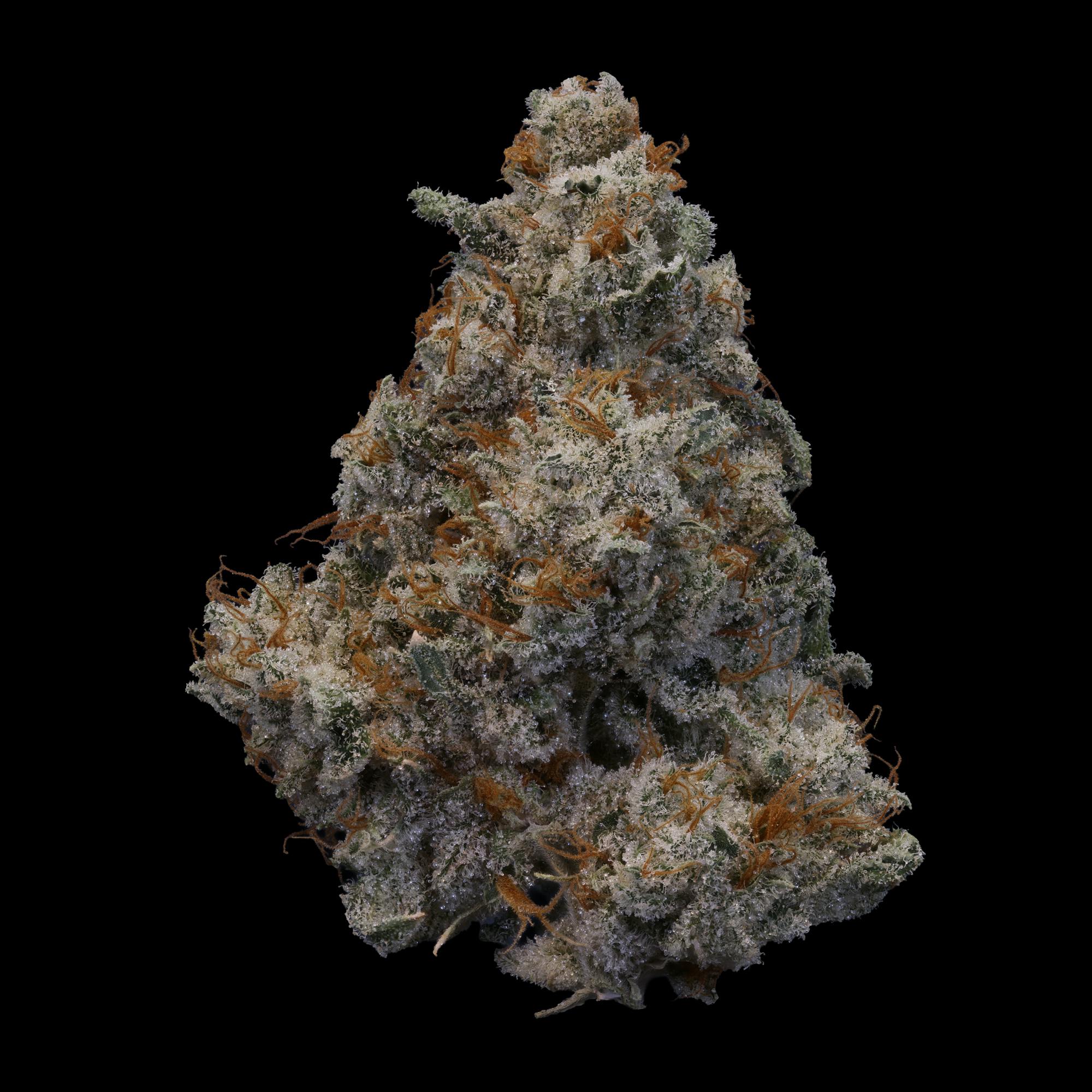 Super Boof x Red Pop #3