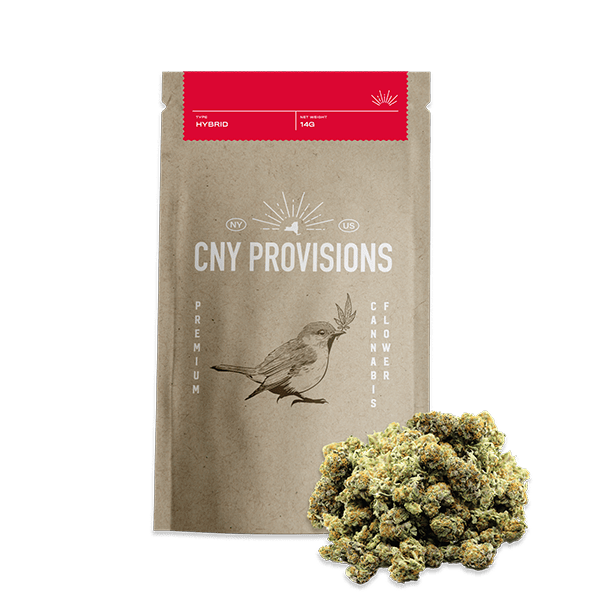 XJ-13 (H) - 14g