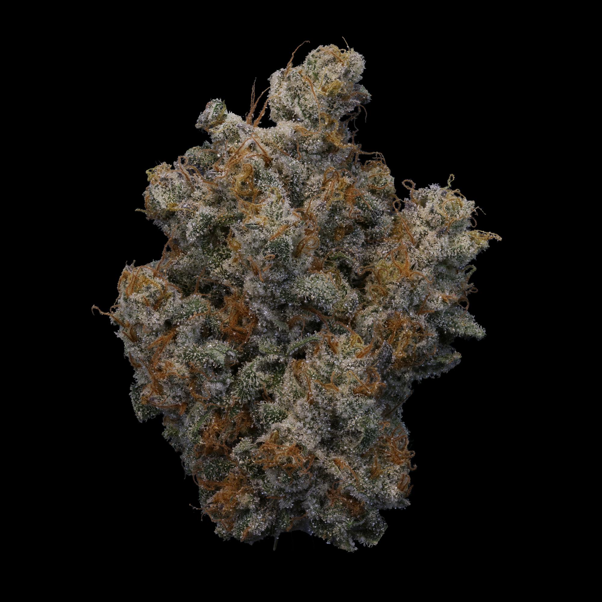 Cranberry Zkittles x Strawguava #8