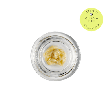 Hudson Cannabis | Cold Cure Rosin | 1g | Guava Pie