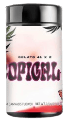 The Mechanic Farm | Flower | 3.5g | Tropical 41