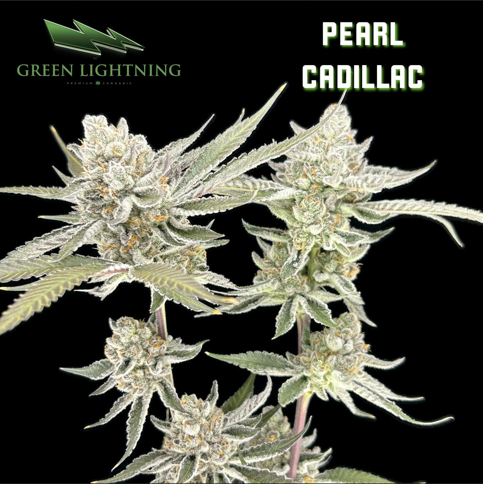 PEARL CADILLAC | 3.5G | SMALLS