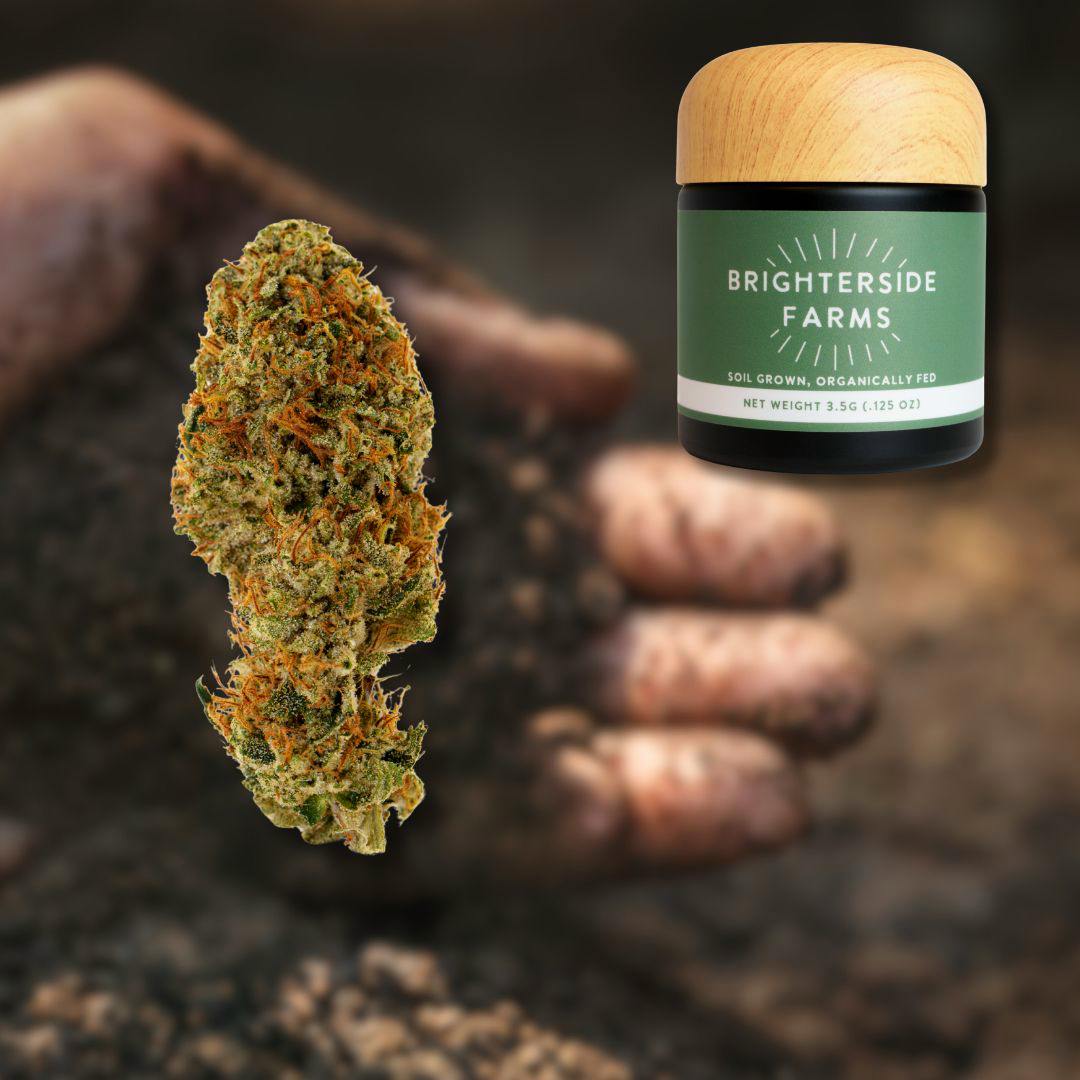 Choco Sour Diesel | 3.5G Flower