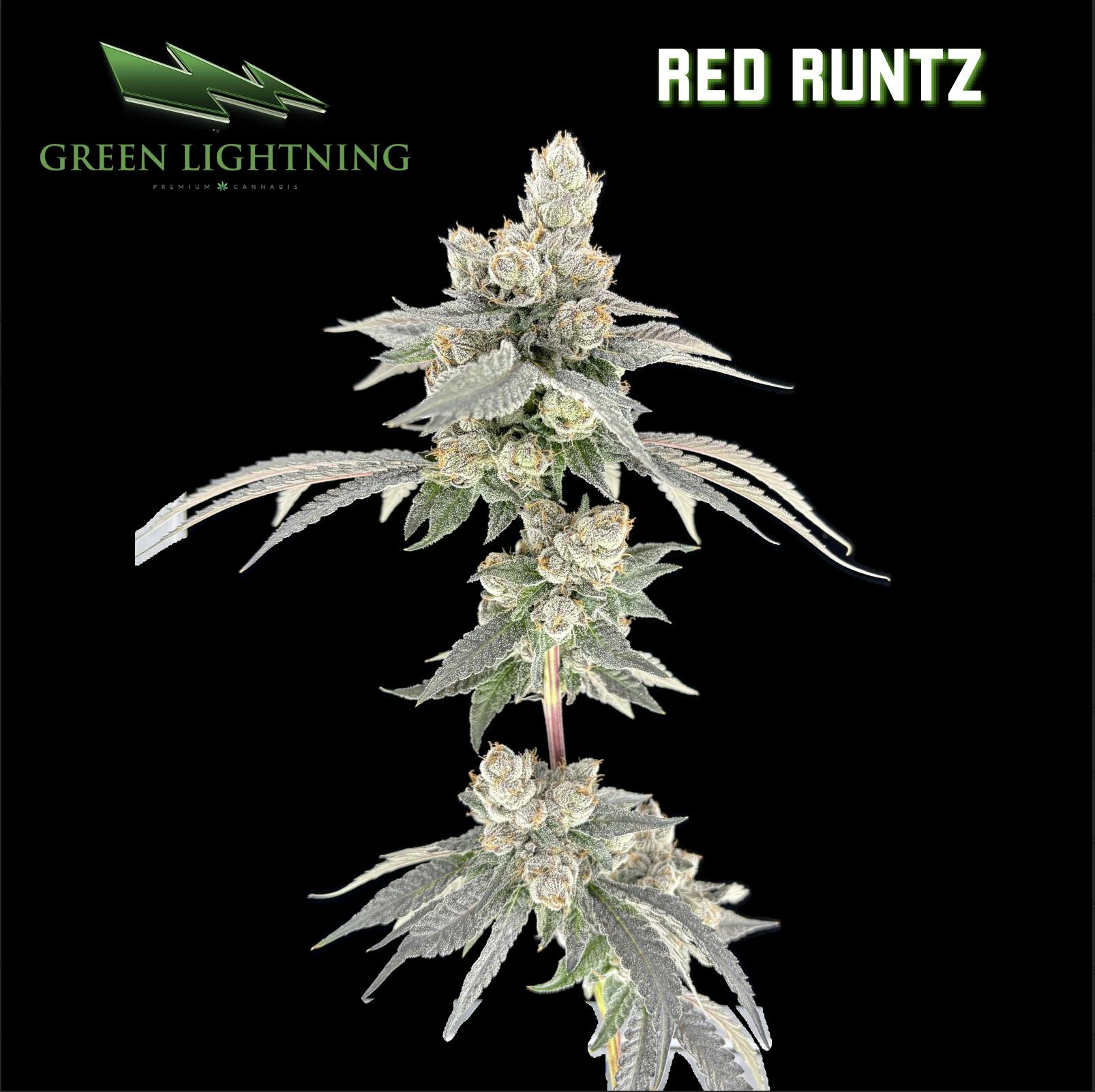 Red Runtz | 7G Smalls