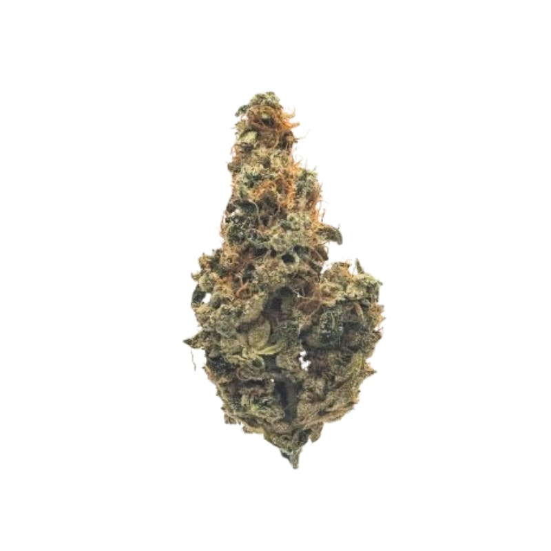 Chem #28 - 1g