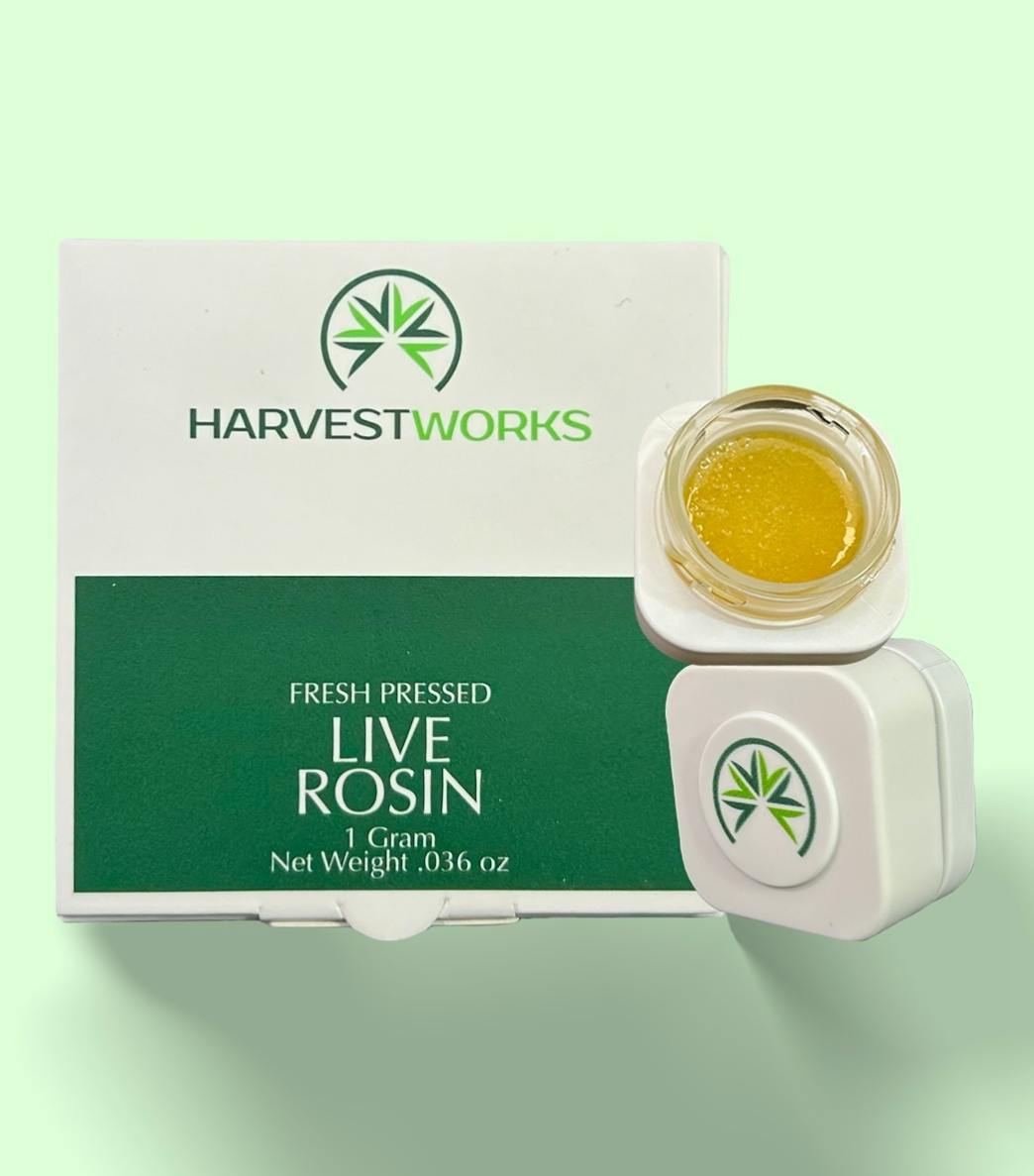 GMO x Project 4516 | 1G Rosin | Jam