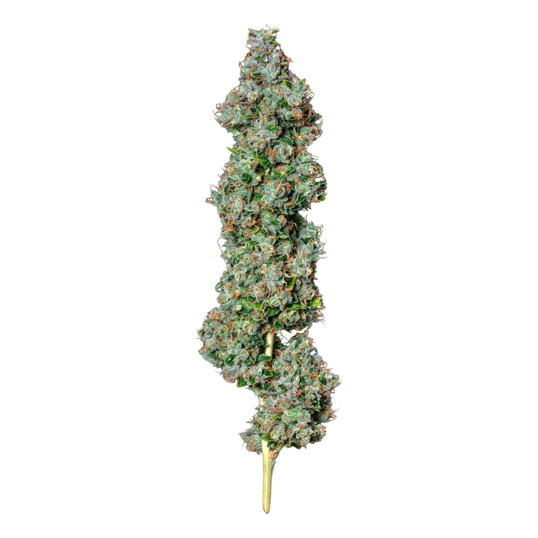 Chemdawg - 3.5g