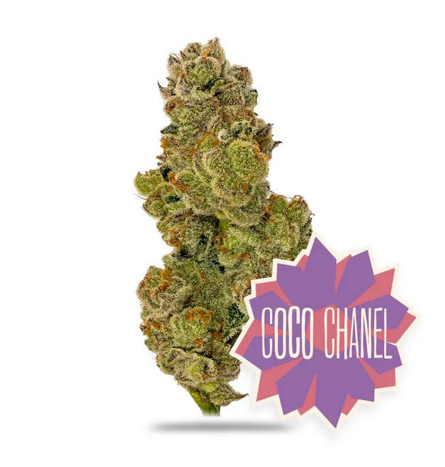 Coco Chanel - 1g