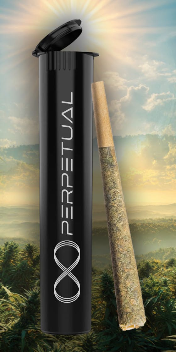 1774300419090 Product Images E210b435 Dd13 4137 A020 Fe91dde3a8cd 0a2cf4ff 5261 4722 Ba21 Ccd34a8f7a1a Original