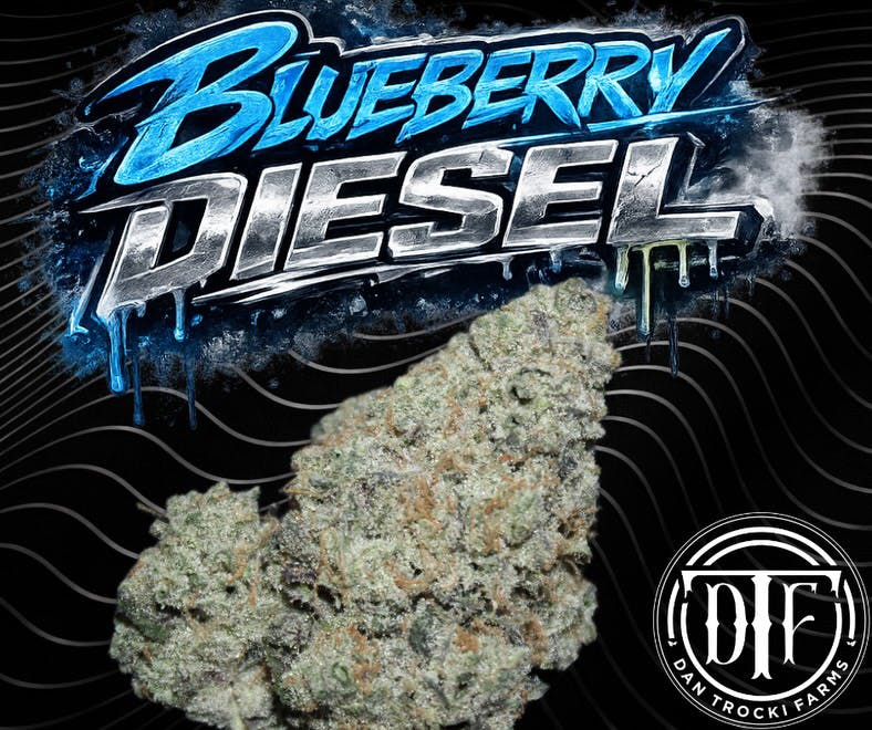 Blueberry Diesel | 3.5G Flower