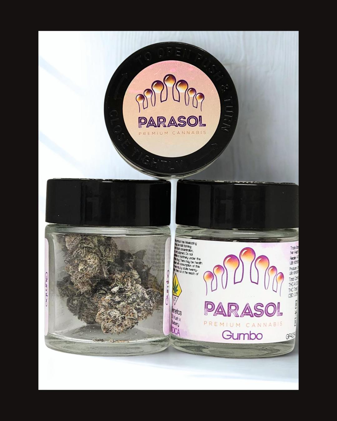 UI - Rainer Cherry Gelato