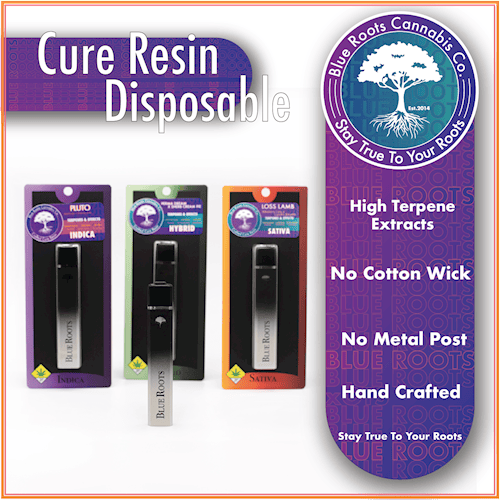 BR - Sherb Cream Pie / Cured Resin Disp