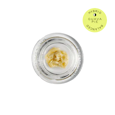 Hudson Cannabis | Cold Cure Rosin | 1g | Guava Pie