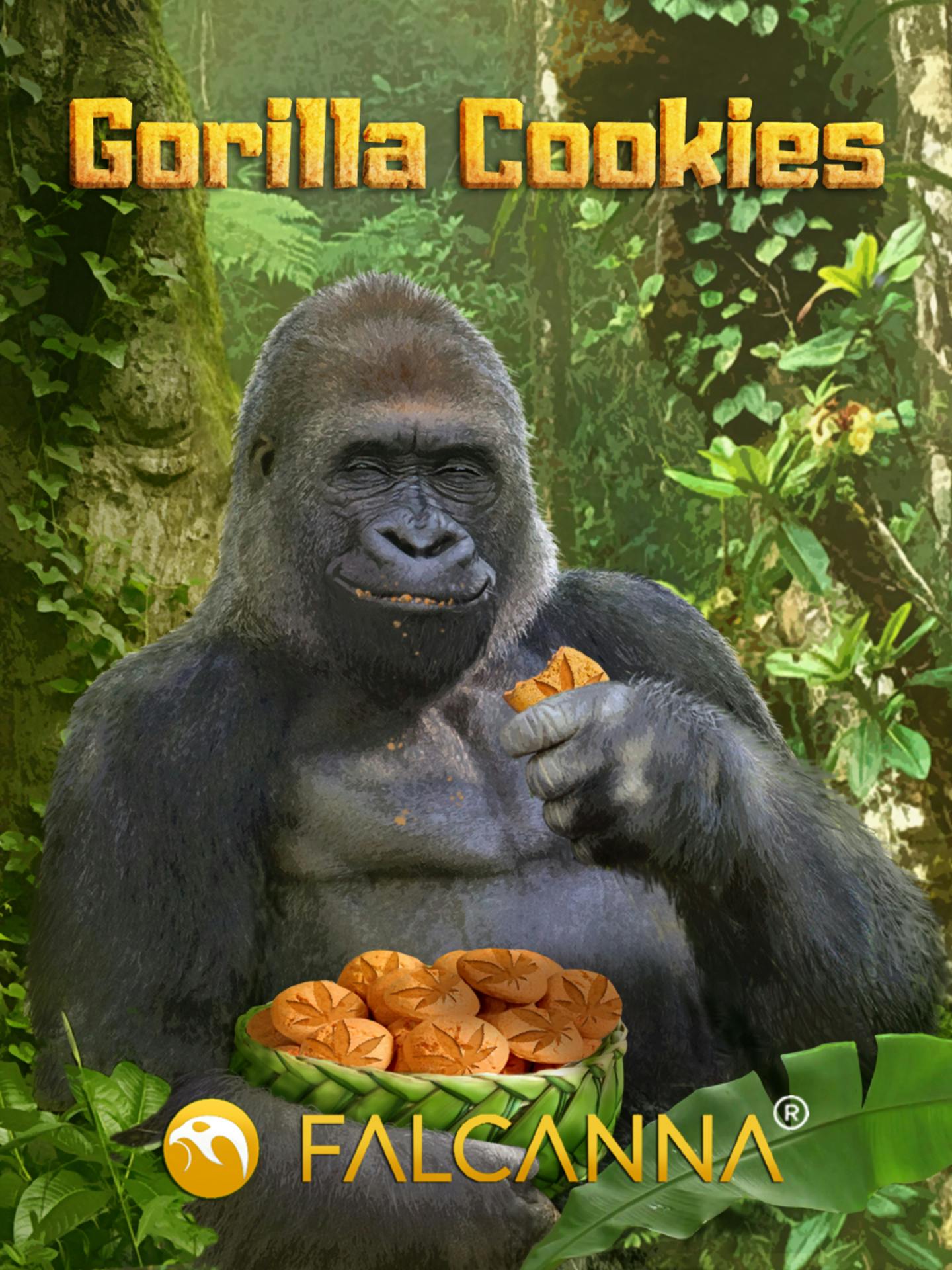 OH - Gorilla Cookies