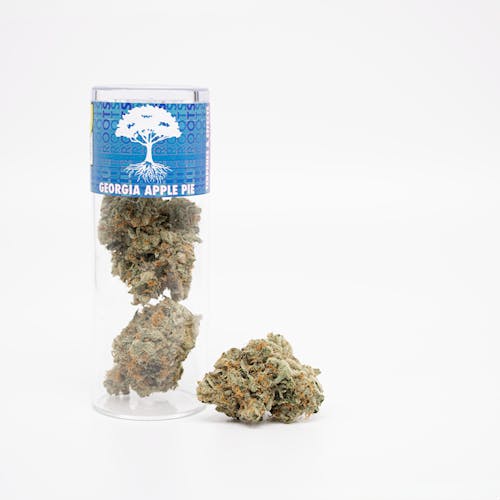 BR - Georgia Apple Pie / DOH