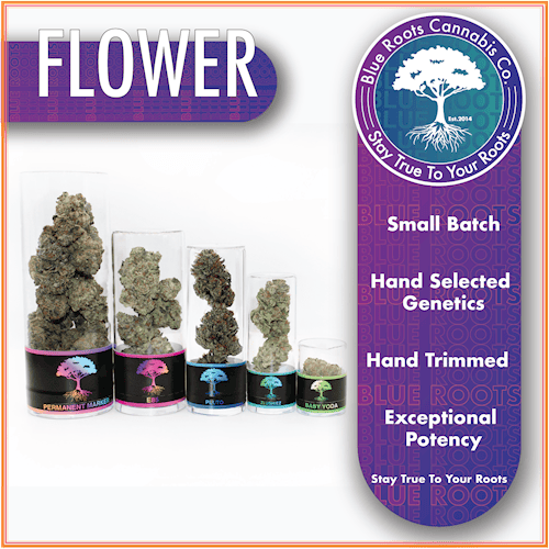 BR - Wild Banana DOH