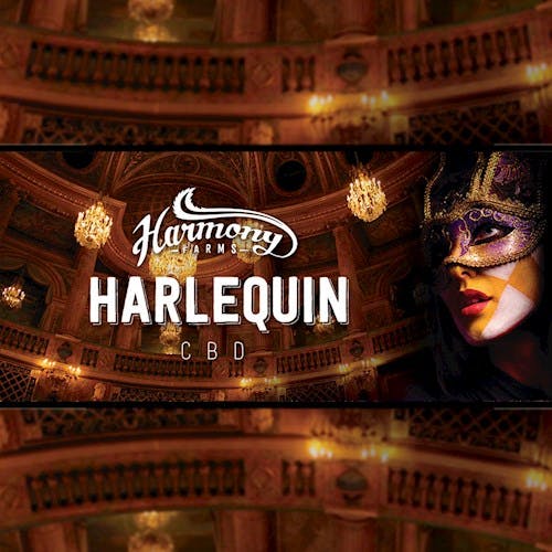 HF - Harlequin CBD
