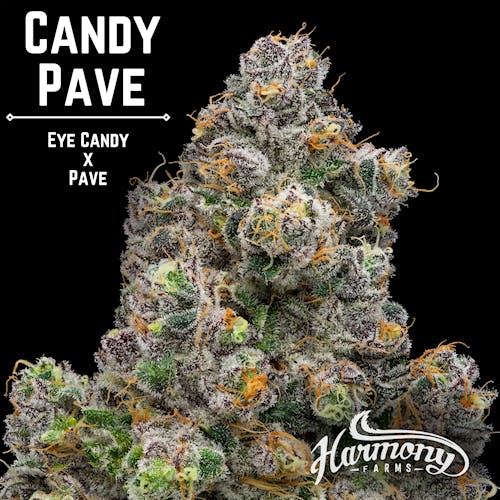 HF - Candy Pave