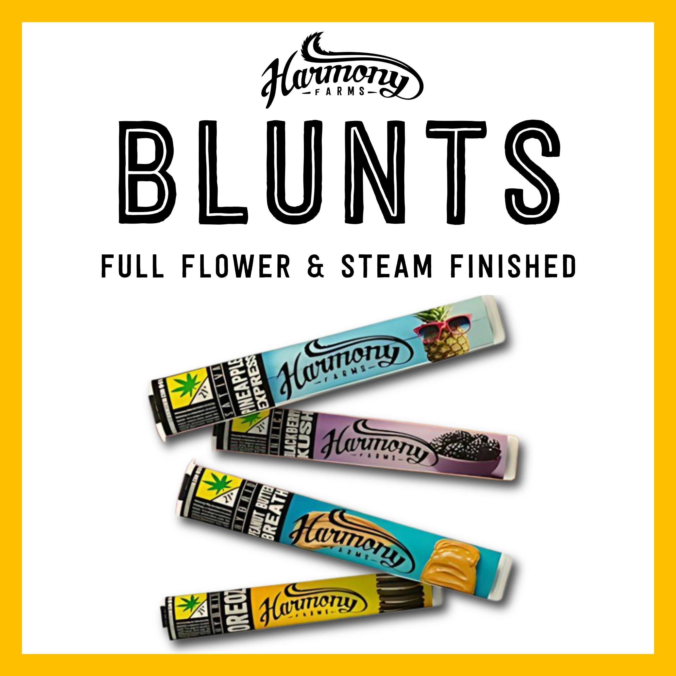 HF - Black Jack / Blunts - m