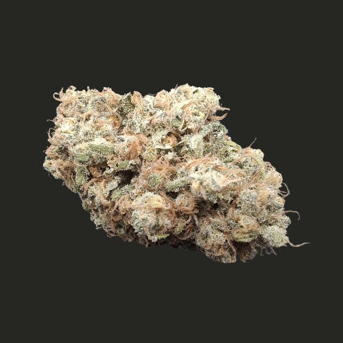 HB - Papaya Melonz #7 /