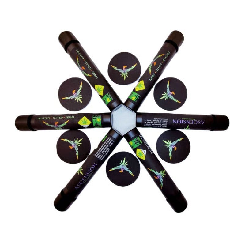 ASN - Purple Berry BX / Hash inf Joint 2-Pack  (.5g Cones)