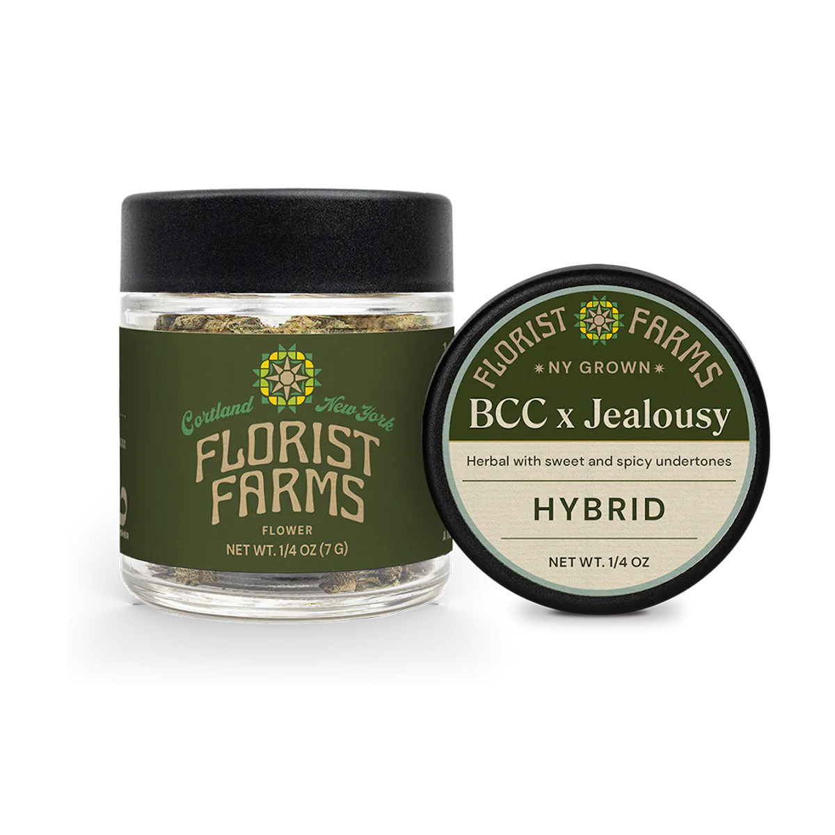 Florist Farms | Flower | 7g | Banana Cream Cake x Jealousy