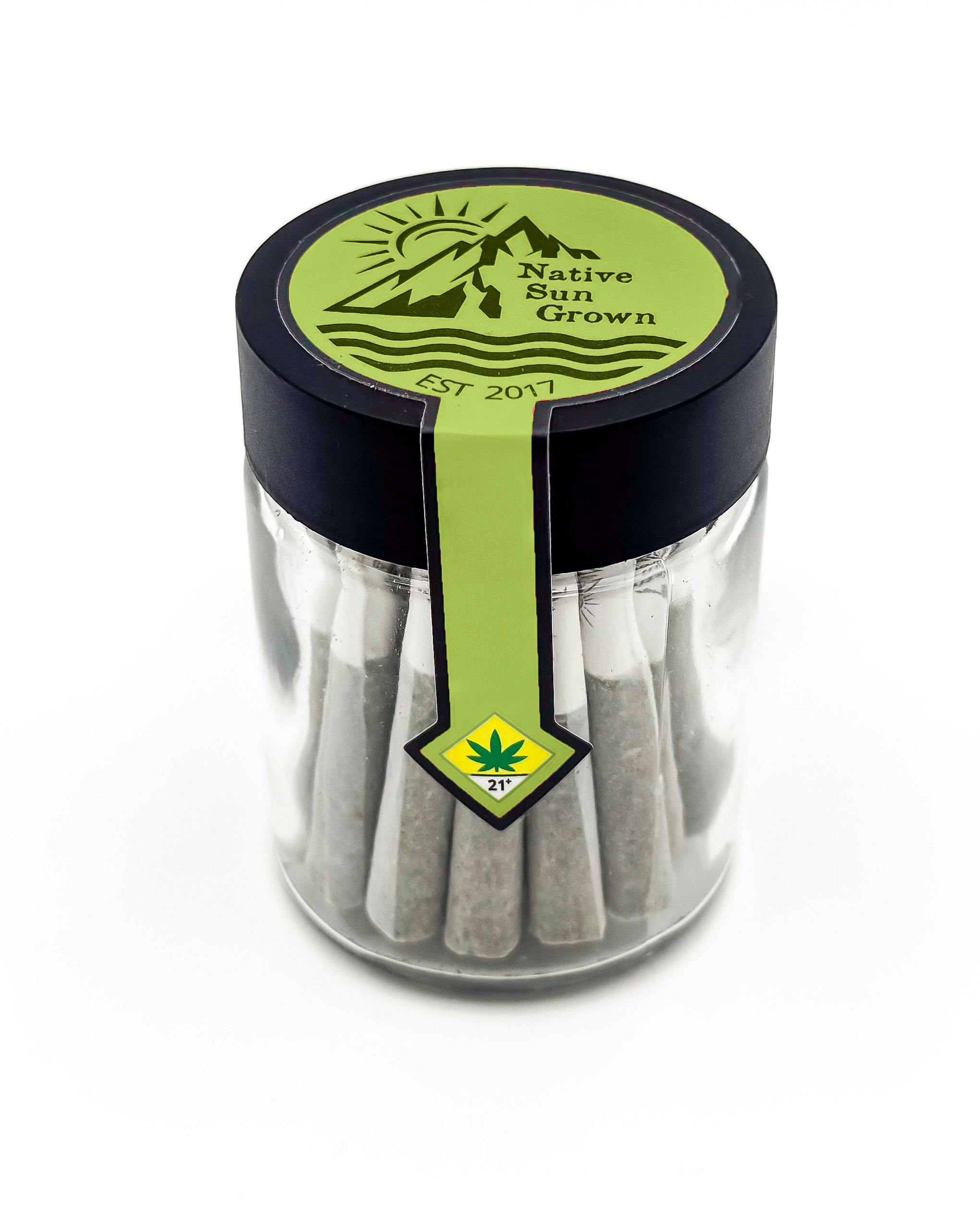 NSG - Trainwreck / The Weekender 30 x .5g