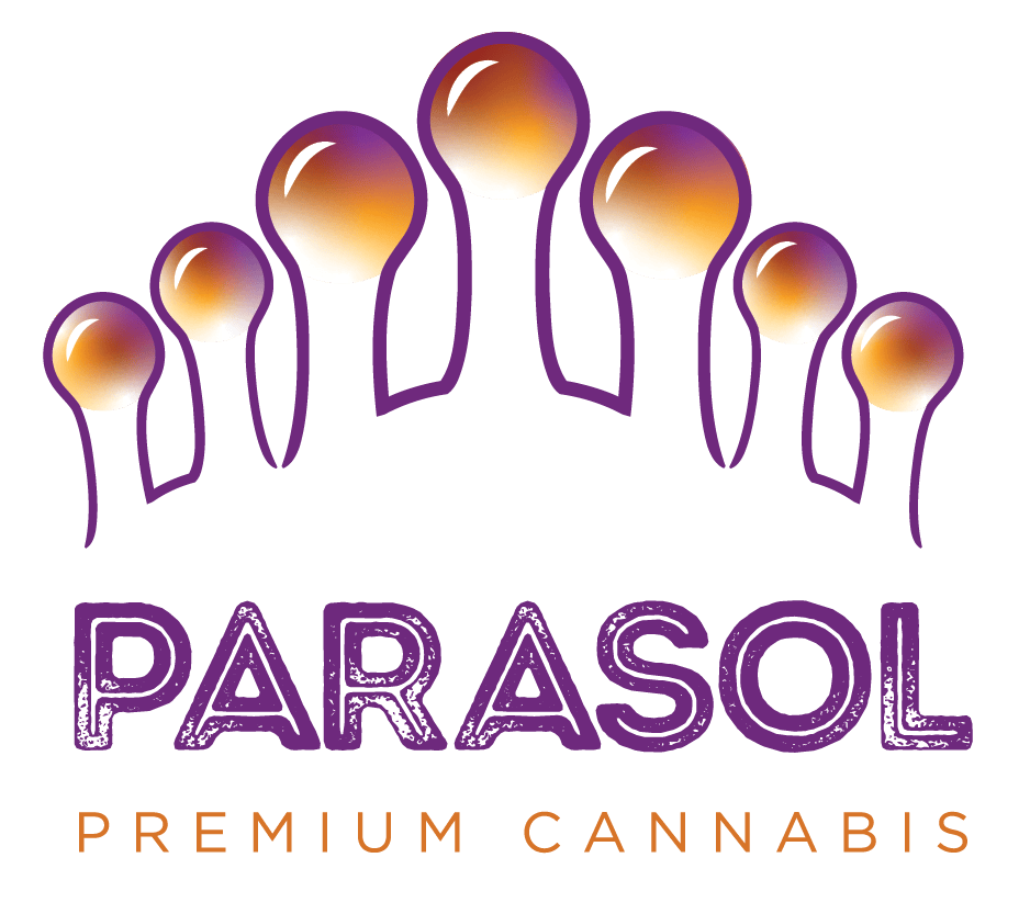 UI - Gas Guzzler / Gold Stix Inf Pre-Roll