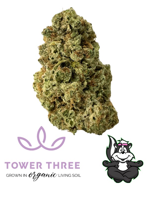 1776703477806 Product Images 22a8a9a2 770c 494c 87ba 90139a8b3274 63166b09 8989 43c2 B3b8 5820e4697a0f Original