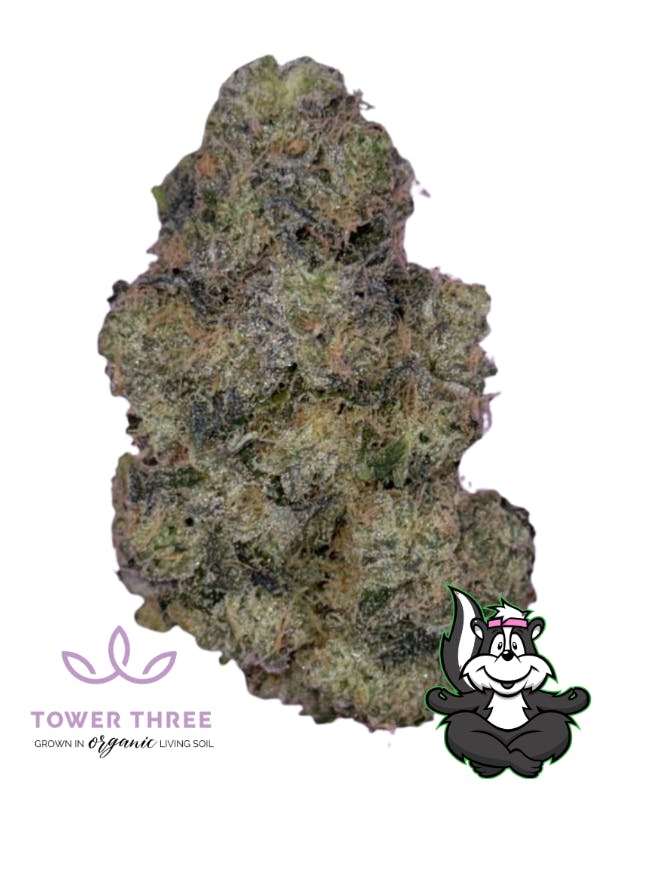 1776703477940 Product Images 7a2d9b68 Dd53 40df Aba2 2e5d00d9fbb4 4ed2204f A4b3 41dc 95e0 3ce34895164b Original