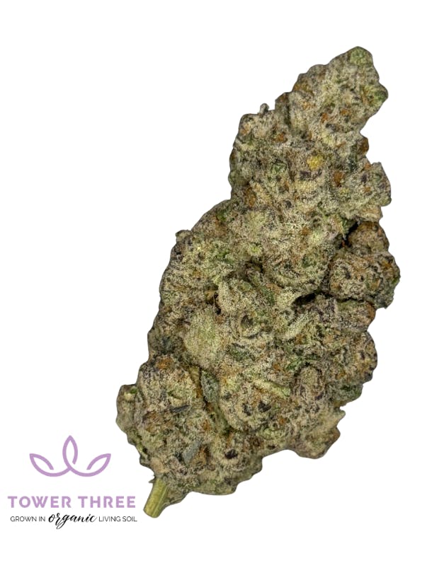 1776720172778 Product Images 9b17351e Feb0 4d80 B5ee Adcbf65edd9a 2fbae4ae 7932 4909 9e19 166fb5fbcf4c Original