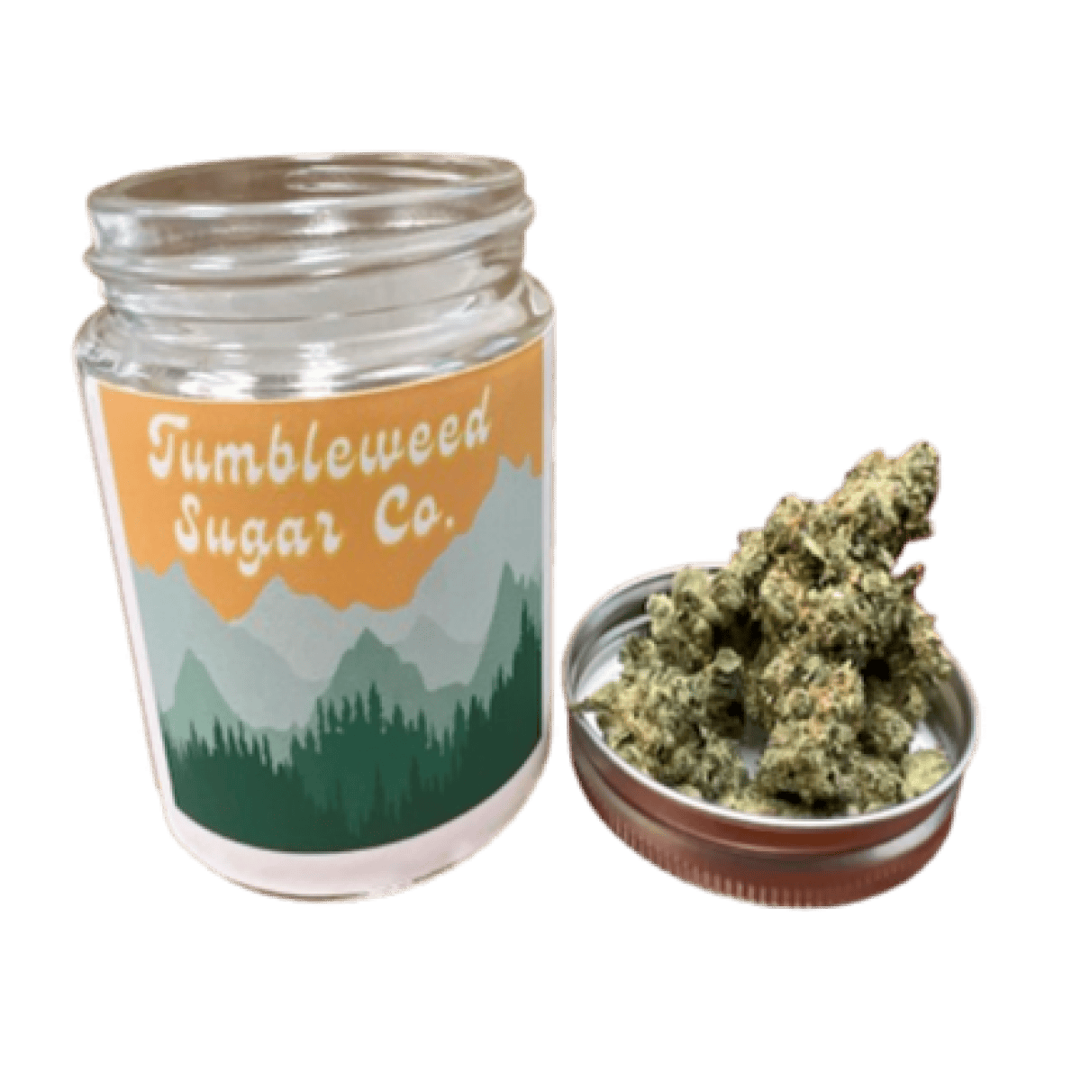 GMO 3.5 G