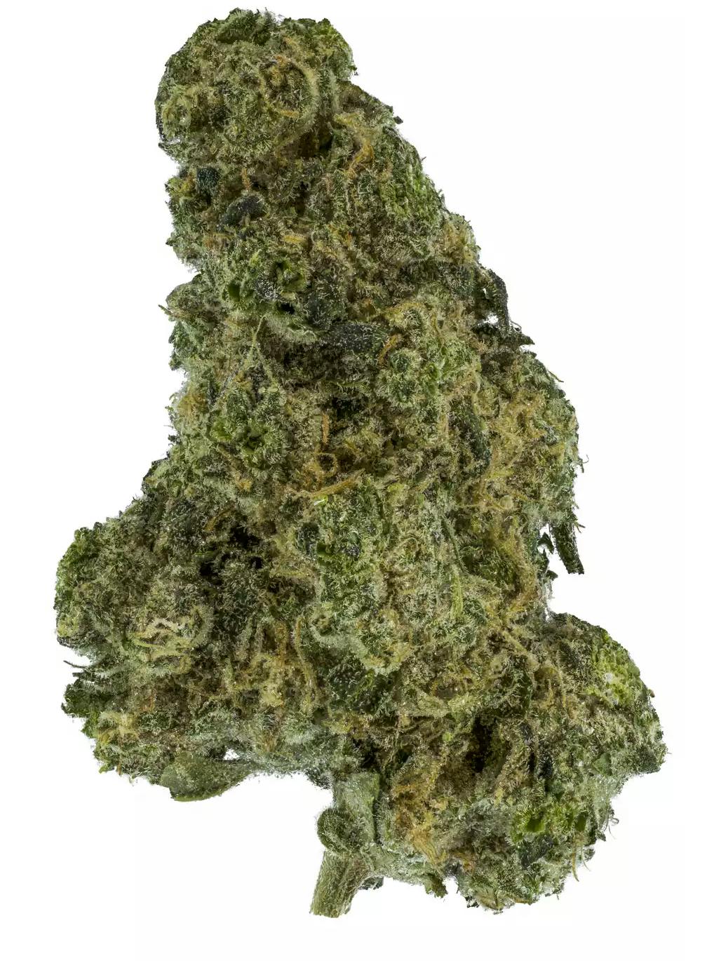 1776823902644 Product Images Cfedf4e8 4465 4b14 A70b 0f80ccf3b0d1 8b19d8d7 2355 4a5a B8c4 38a79d972b6e Original