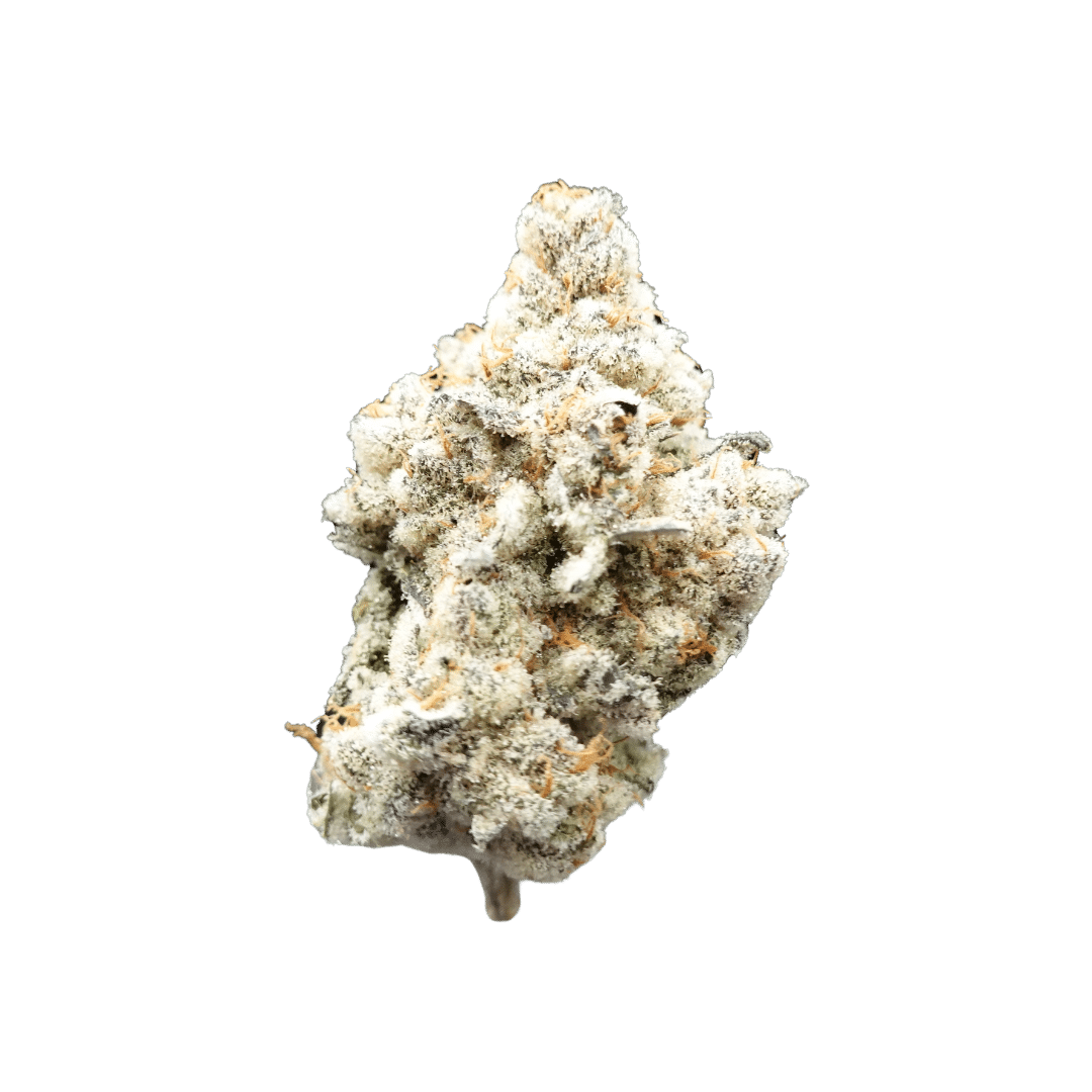 Wight Wizard 3.5 grams