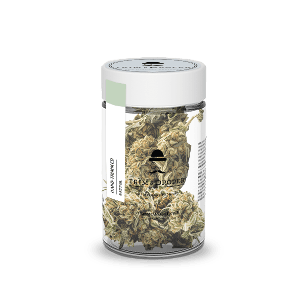 GG4 (I/H) - 14g