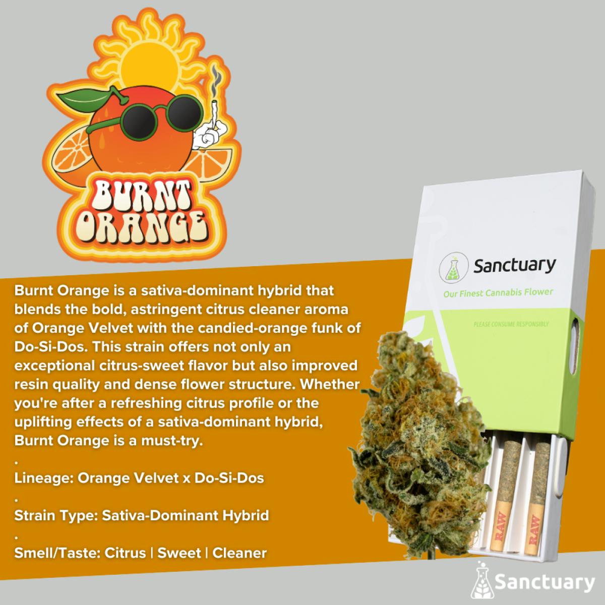 Burnt Orange | 0.5g Pre-Rolls | 5pk | Hybrid
