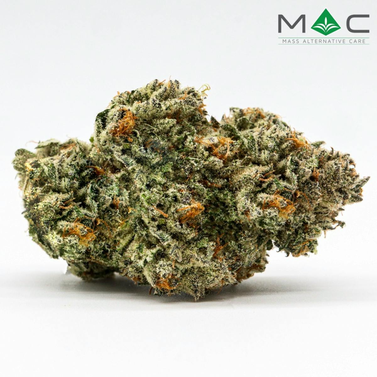 LA Beatnik | 28g | Indica
