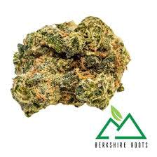 Snowdog | 3.5g | Hybrid