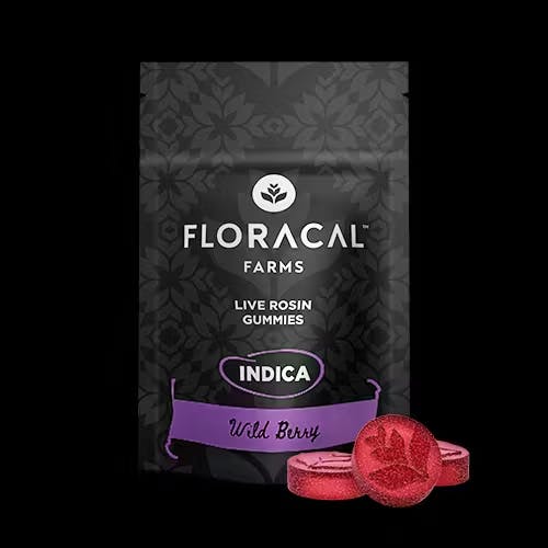 Floracal | Wild Berry | 100mg Gummies