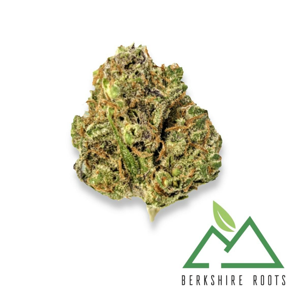 Blueberry Cookies | 3.5g | Hybrid