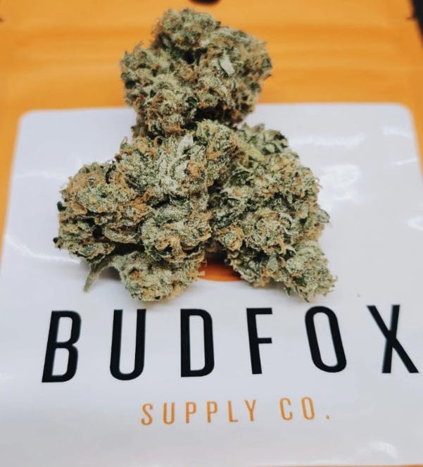 Medical | Cherry Lac