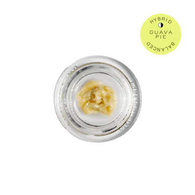 Hudson Cannabis | Cold Cure Rosin | 1g | Guava Pie